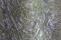 Over Finlarg fibreglass roof work